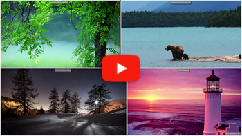 Mehrere Fotos auf jedem Monitor in einer Diashow anzeigen